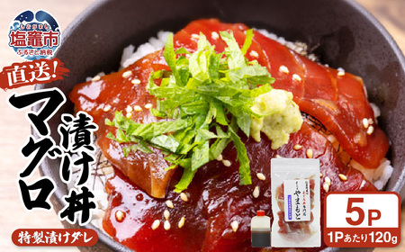 【直送マグロ使用】お試し まぐろパック 特製漬けタレ付き 120ｇ×5パック 塩竈市 塩釜 TUNA まぐろ屋やまもと | tu00001-5s