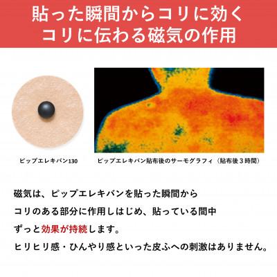 ふるさと納税 天理市 ピップエレキバン　130mT24粒 2個セット |  | 03