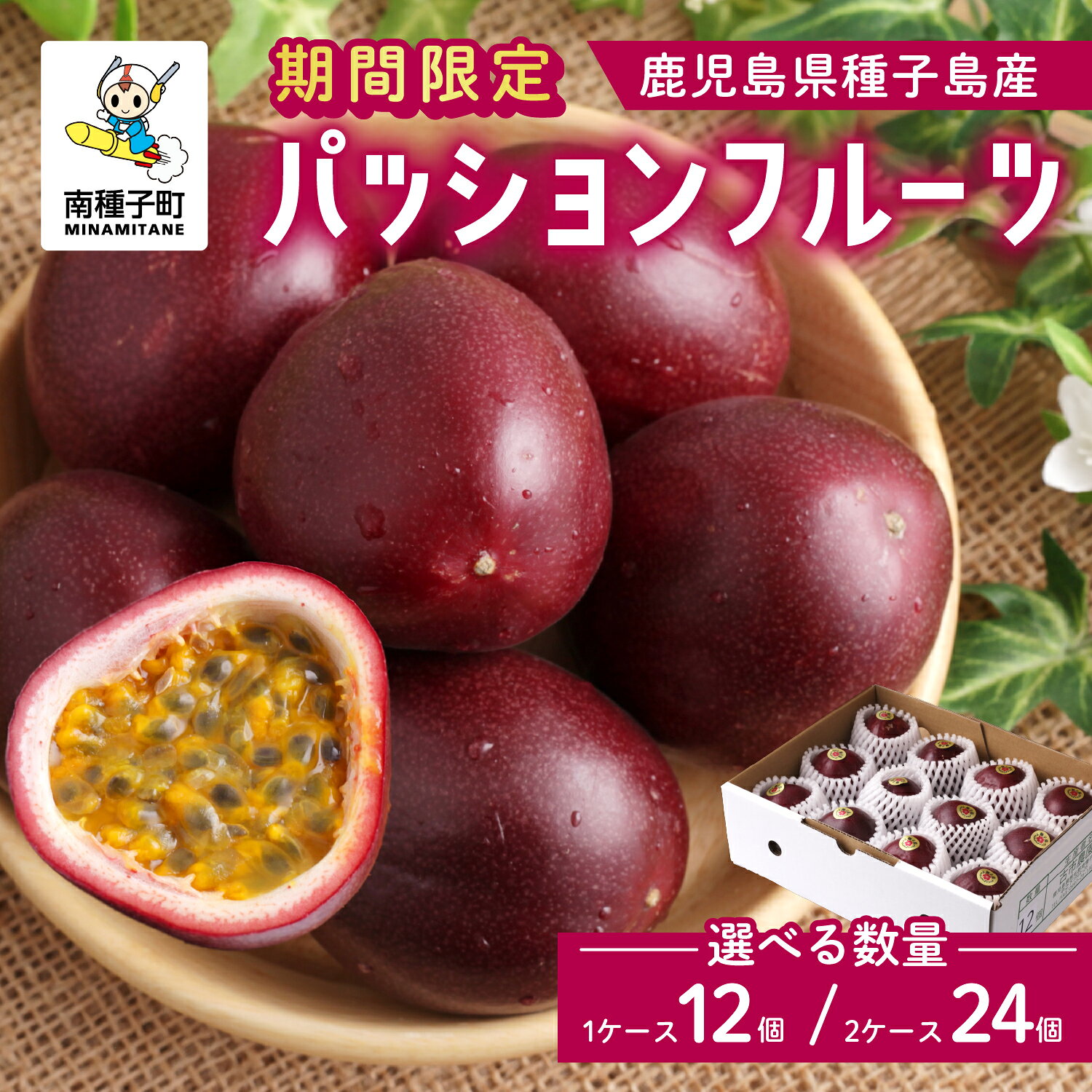 【ふるさと納税】令和8年度 種子島産パッションフルーツ パッションフルーツ 果物 フルーツ 食品 グルメ お取り寄せ お中元 人気 おすすめ 返礼品 南種子町 鹿児島 かごしま 【有限会社新栄物産】