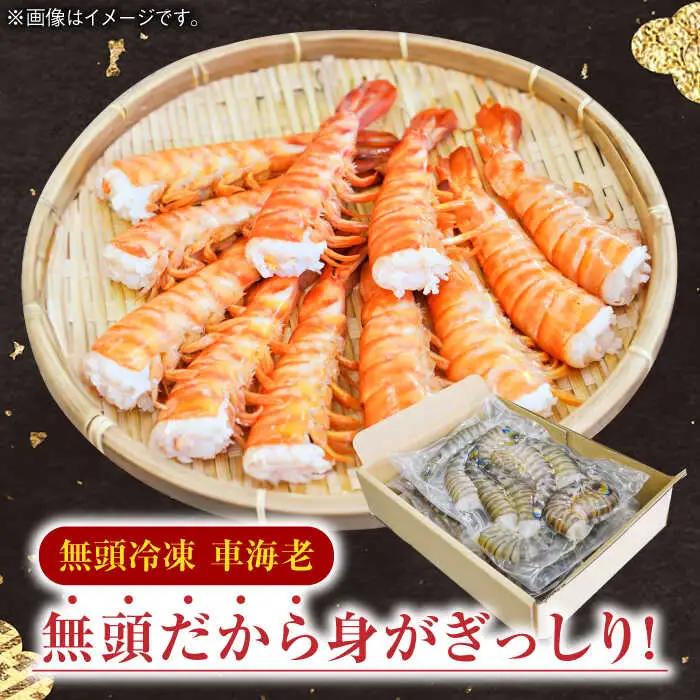 【加熱用】伊万里特産 無頭冷凍車海老 計2.5kg（250g×10袋） / 佐賀県 / 株式会社拓水 伊万里クルマエビセンター [41AEAJ010]
