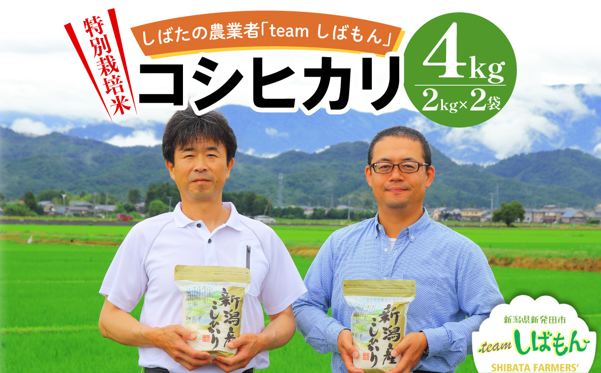 
            【R7年産先行予約】 新米 4kg 特別栽培米コシヒカリ 白米 新潟県産 こしひかり 2kg×2 少量 便利 一人暮らし おいしい 玄米 変更可 しばもん 越後 減化学肥料 減農薬 新潟産 新潟県 新発田市 D31_01
          