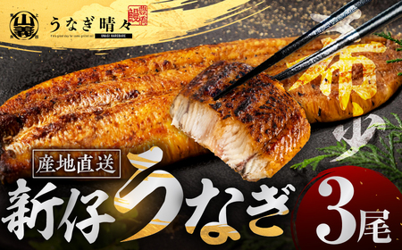 うなぎ晴々 蒲焼き 新仔 3尾 うなぎ
