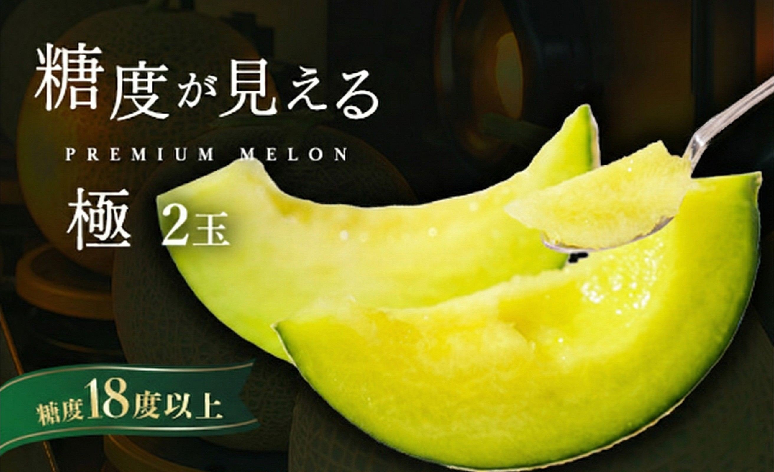 
            ＼糖度なんと18度以上！／ 品質が見える メロン 【極】等級 エルソルメロン 2玉入り ｜メロン エルソルメロン おすすめ 人気 国産 茨城 鉾田 サングリーン旭 極 旬 プレゼント 贈り物 フルーツ 青肉 青 果物 5月以降発送
          