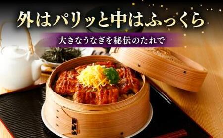 福岡県産 うなぎ 蒲焼 大2尾　合計 320 g（1尾あたり 160g以上）《豊前市》【福岡養鰻】 国産 うなぎ 大[VAD002] うなぎ 鰻 鰻の蒲焼 ギフト鰻 国産鰻 うなぎ 鰻 鰻の蒲焼 ギフ