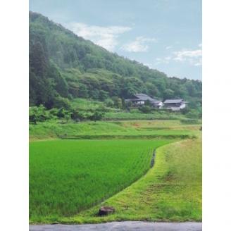 2024年産【南信州高森産】長野県オリジナル米「風さやか」精米10kg