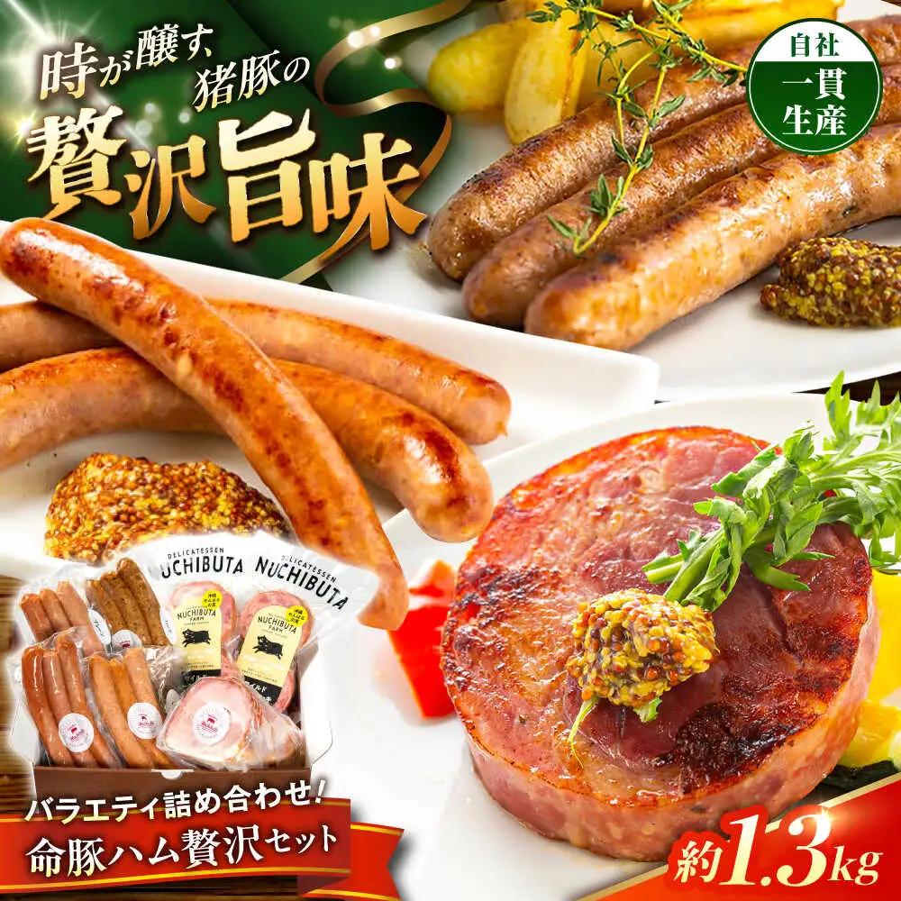 『ハム贅沢セット』 豚肉 ポーク ステーキ ソーセージ ハム 詰め合わせ  BCAR007 豚肉