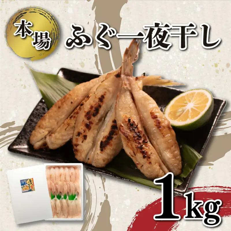 ふぐ 一夜干し 1kg セット 冷凍 ふぐ 下関 《海（かい）：KA》