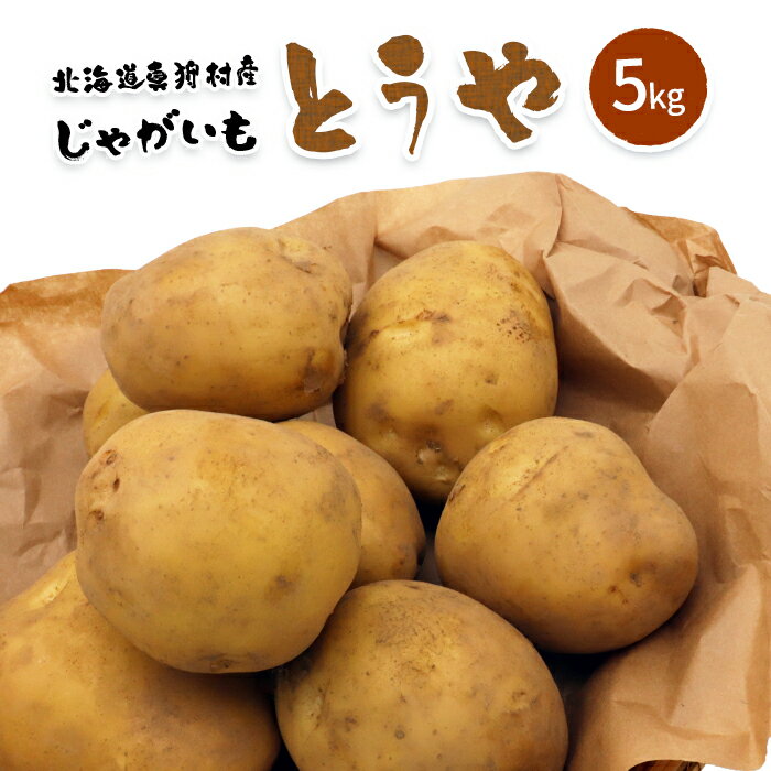 【ふるさと納税】【新じゃが】太陽の光をたっぷりと浴びた　北海道真狩村産じゃがいも・とうや 5kg【2024年産】【0113701】