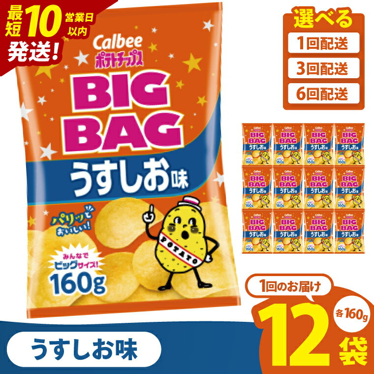 【ふるさと納税】【10営業日以内に出荷】【選べる定期便回数】カルビー ポテトチップス うすしお味 BIGBAG（160g）×12個｜Calbee お菓子 菓子 おやつ おかし ぽてち ポテチ スナック おつまみ ジャガイモ じゃがいも（93-55）