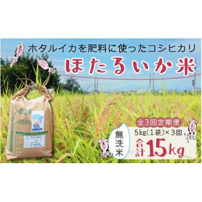 ふるさと納税 滑川市 【毎月定期便】ほたるいか米　無洗米　5kg全3回