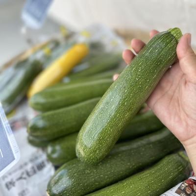 ふるさと納税 江南市 【Hello!農園直送】秋のおまかせ野菜セット(5〜7品) 栽培期間中農薬・化学肥料不使用 |  | 02