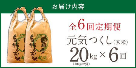 【定期便6回】【令和8年産 新米】福岡県産ブランド米元気つくし 玄米 20kg×6回 _  元気つくし 20kg お届け回数 6回 定期便 福岡県産 ブランド米 新米 福岡生まれ 品種 香り豊か ふっ