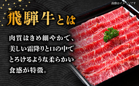 【3回定期便】飛騨牛A4等級以上 ロース 肩ロース しゃぶしゃぶ用 500g【肉の丸長】  和牛 ブランド牛 焼肉 国産  [TAZ024]