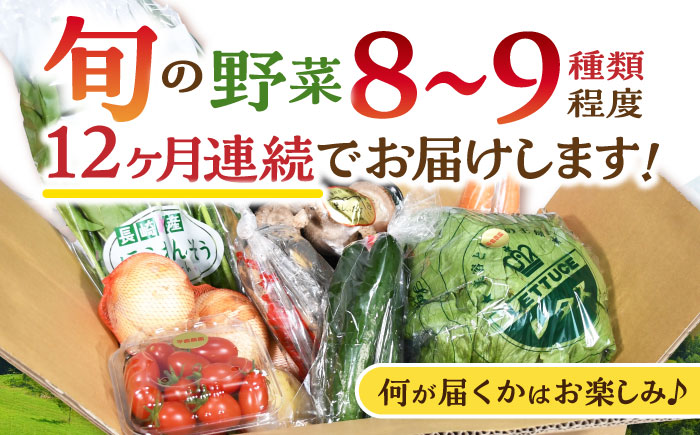 【12回定期便】諫早産野菜の詰め合わせ(8〜9品目程度) / 季節 旬 野菜 春野菜 夏野菜 秋野菜  / 諫早市 / 肥前グローカル株式会社  [AHDI003]