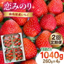 【ふるさと納税】【2025年3月〜発送】【2回定期便】南島原産 いちご 「恋みのり」約260g×4P / イチゴ 苺 フルーツ 果物 / 南島原市 / あゆみfarm[SFF002]