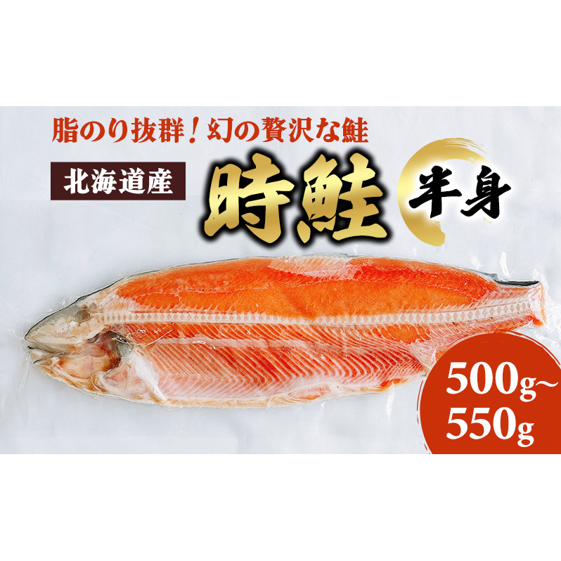 北海道産 時鮭 半身 500g～550g 鮭 さけ シャケ 魚 甘塩 冷凍 半身加工 旬 