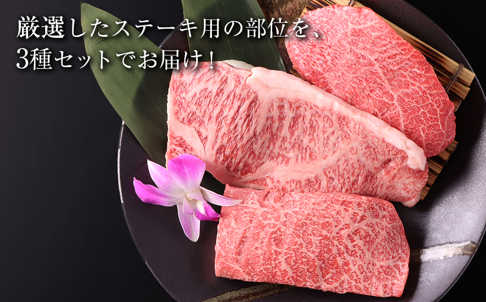 白老牛 厳選 ステーキ 3種セット 合計600ｇ（各200ｇ） 特製ソース付き 和牛 ＜徳寿＞ BJ057_イメージ2
