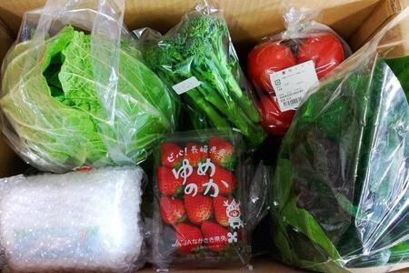 【AB915】【6回定期便】長崎県産　季節の野菜BOX【産直松吉】