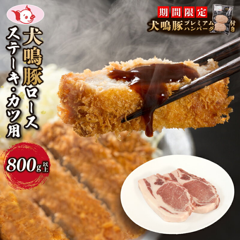 【ふるさと納税】期間限定 泉佐野ブランド豚 犬鳴豚 犬鳴ポーク ロースステーキ カツ用 4枚以上 800g 以上 ハンバーグ付き 脂身 ジューシー ブランド豚 ステーキ かつ 豚肉 豚かつ トンテキ 食品 食べ物 冷凍 お取り寄せ 大阪府 泉佐野市 送料無料 肉の泉佐野