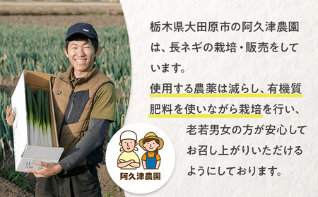 与一ねぎ 2Lサイズ（27本） ｜野菜 ネギ 農家直送 産地直送 産直 大田原ブランド 栃木県 大田原市