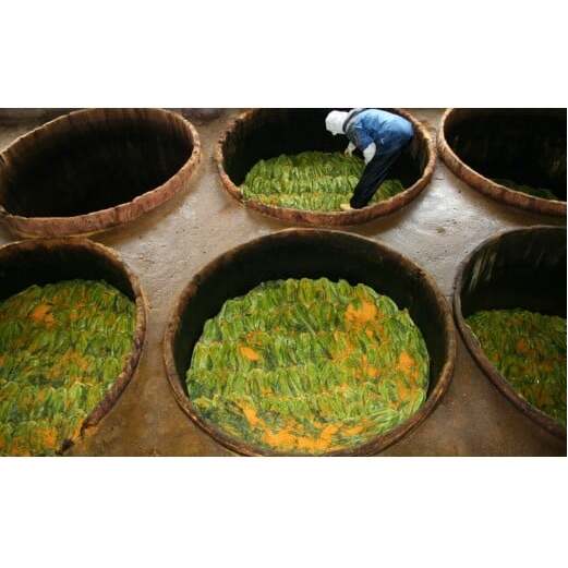 佐賀県産高菜使用高菜乃華(4種入り）前田食品工業 高菜漬け 佐賀県産高菜漬け 有田町産高菜漬け 高菜漬4種セット漬物 九州産高菜 美味しい漬物 チャーハン お茶漬け 明太子高菜 辛子高菜 6000円 