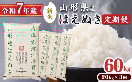 ＜ 2025年12月下旬より隔月3回 ＞【令和7年産 定期便】はえぬき計60kg！お米 定期便（20kg×3回）！清流寒河江川育ち 山形産はえぬき 2025年産　195-C-JA014-202512下