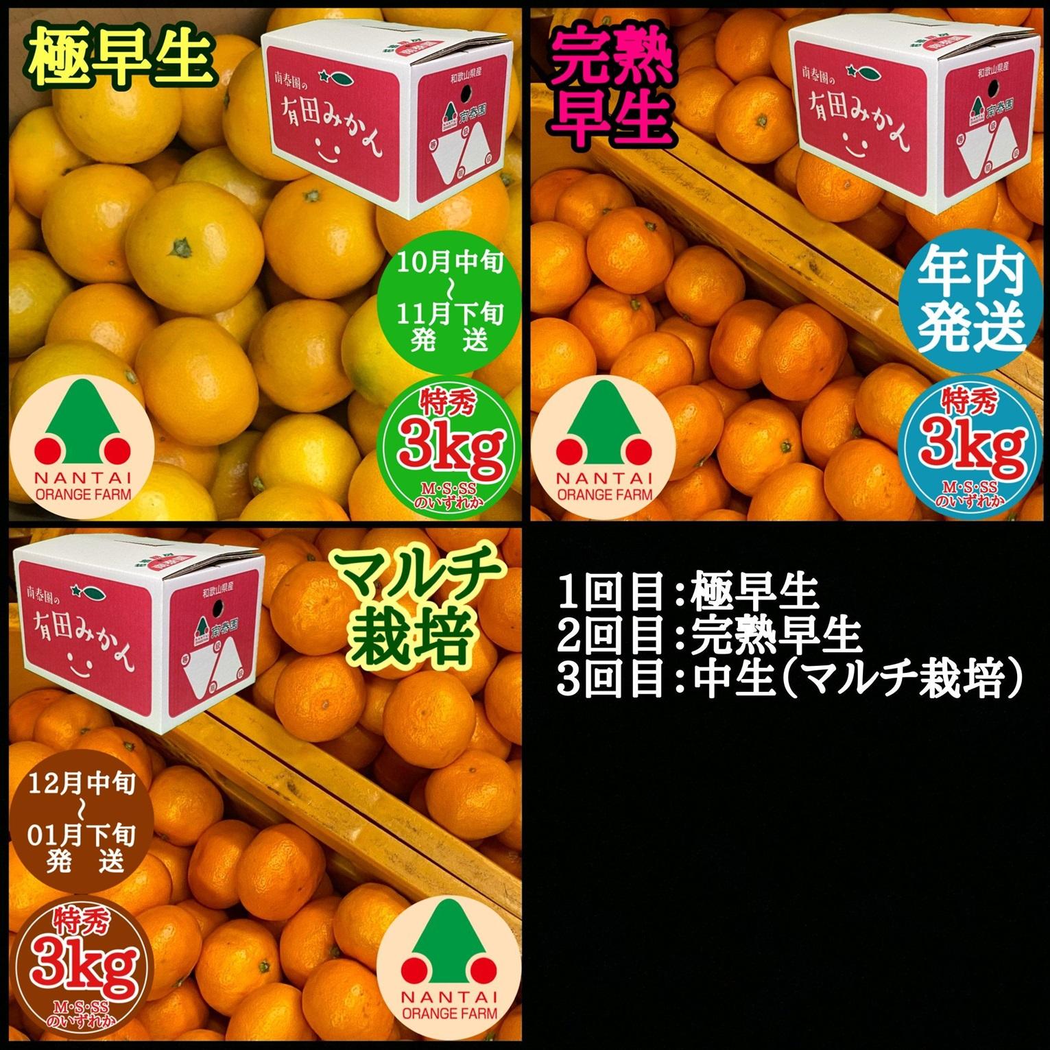 定期便 先行受付 2025年 10月発送スタート 有田みかん 食べくらべ 3種 特秀 各 3kg コース 全3回 南泰園