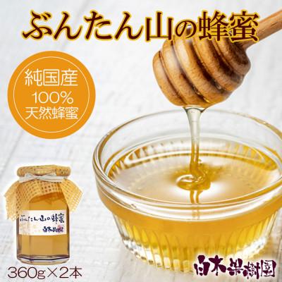 ふるさと納税 土佐市 爽やかな香り広がる100%天然蜂蜜　ぶんたん山の蜂蜜　360g×2本