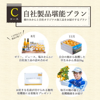 自分の畑が持てる!オーナー制度:C製品堪能プラン【H25−113】ミヤモトオレンジガーデン【1411129】