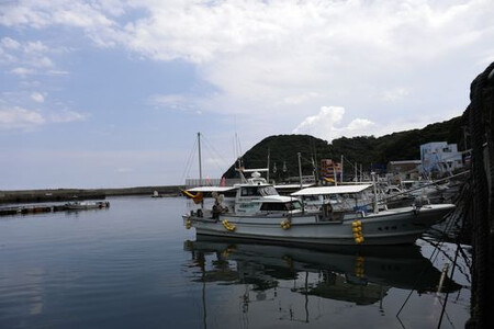 【数量限定】佐田岬海士のさざえ2kg ※北海道・東北地方・沖縄・離島への配送不可 【 さざえ サザエ 海鮮 貝 佐田岬 】 IKTJ003