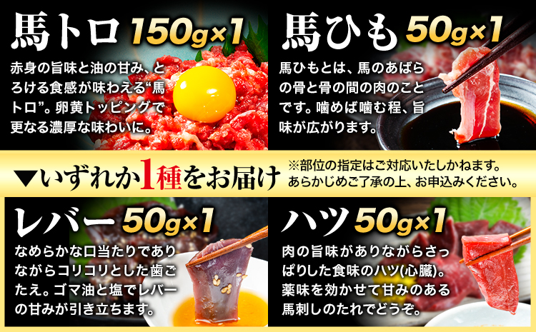 7種のバラエティ馬刺しセット 600g《7月中旬-9月末頃出荷》赤身 さし 上ロース たてがみ コーネ 馬トロ 馬ひも レバー ハツ 国産 生食用 肉 馬肉---oz_fnsbrb_bc79_r7_2