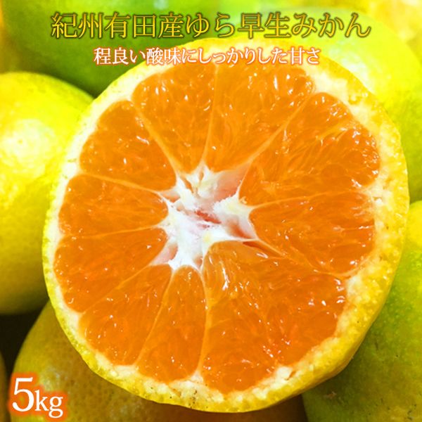 【ふるさと納税】【限定】 【2025年先行予約】紀州和歌山有田産 ゆら早生みかん 5kg【ミカン 蜜柑 柑橘 温州みかん わせみかん】