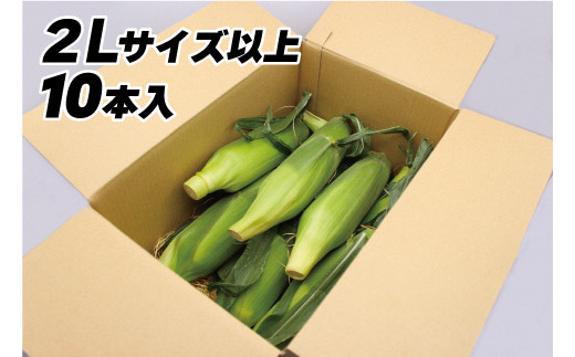 ※写真は梱包のイメージです。