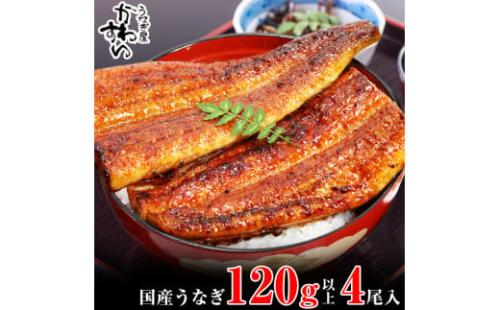 995.国産うなぎ蒲焼120ｇ 4本セット(A995-1)