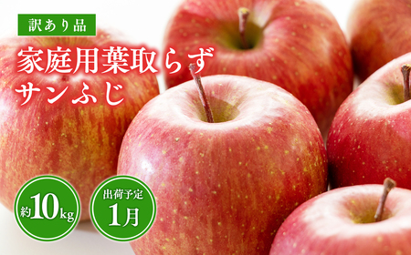 《1月発送》 訳あり 家庭用 葉取らずサンふじ 約10kg (28～46玉程度)【りんご 森山商店 平川市産 青森りんご 年明け発送 1月 林檎 リンゴ サンふじ ふじ 葉とらず 平川市 青森県】