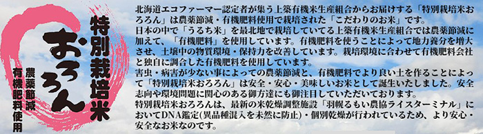 【令和5年産・お米】【定期便：3回】令和5年産　北海道羽幌産特別栽培米おぼろづき5kg【08126】