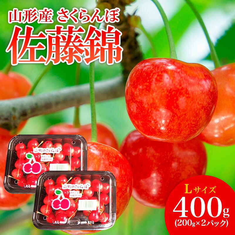 【ふるさと納税】山形産 さくらんぼ 特選 佐藤錦 L 400g(200g×2パック入) 【令和9年産先行予約】FS26-662 くだもの 果物 フルーツ 山形 山形県 山形市 人気 お取り寄せ 2027年産