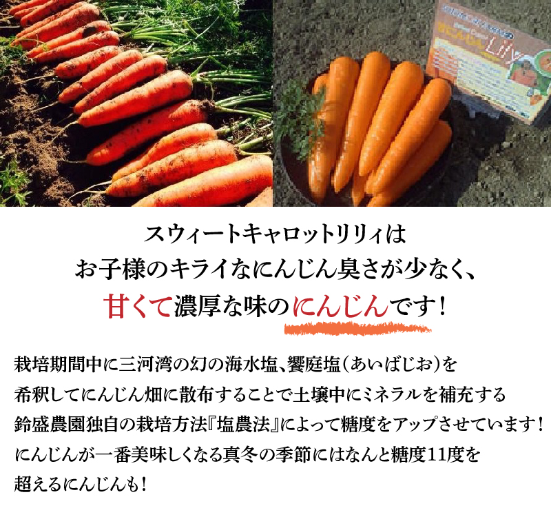 【期間限定】鈴盛農園の甘～いにんじん　『スウィートキャロットリリィ』 人参 甘い ジュース サラダ スムージー ジューシー H022-013