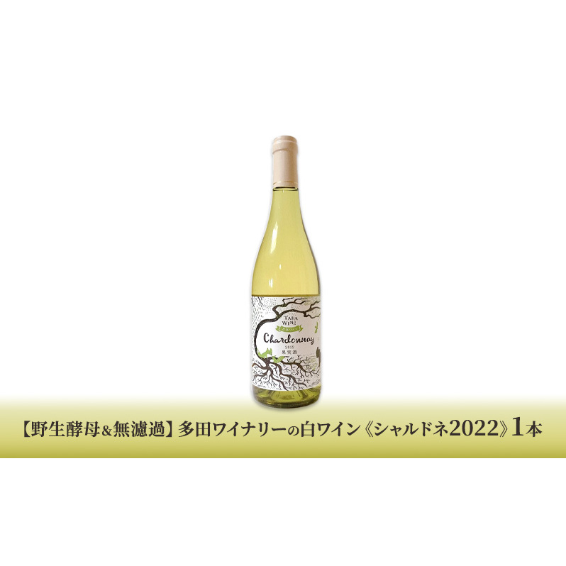 北海道 上富良野 コラボ 返礼品 上富良野町発祥！伝説のホップ「ソラチエース」使用【SORACHI 1984】350ml×12缶×【野生酵母＆無濾過】多田ワイナリーの白ワイン 《シャルドネ2022》1