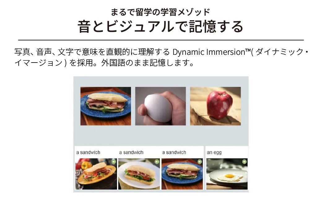語学学習ツール「ロゼッタストーン 英語(アメリカ) 6製品セット カード版」 | 英語学習ソフト 語学学習 英会話教材 英語勉強法 リスニング強化 スピーキング練習 発音矯正 文法学習 単語習得 アメ