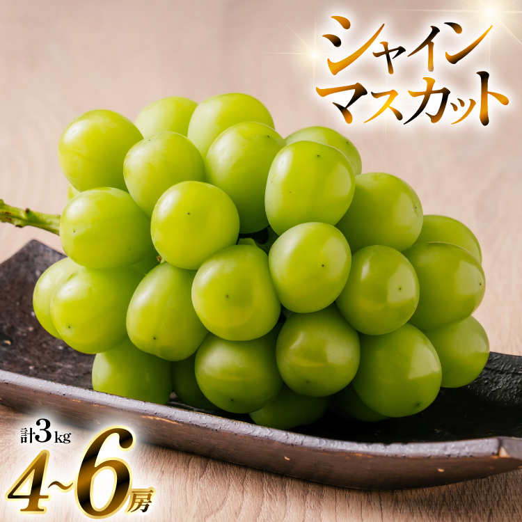 【期間限定発送】 シャインマスカット 4～6房 約 3kg [いわた果樹園 山形県 高畠町 tk06ayt400002] ぶどう ブドウ 葡萄 フルーツ 果物 くだもの 3キロ 甘い