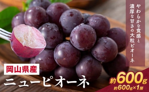 【2026年先行予約】 岡山県産 ニューピオーネ詰合せ 選べる 計 600g 株式会社はちや《2026年8月下旬‐9月下旬頃出荷》岡山県 浅口市 ぶどう 葡萄 フルーツ ギフト 果物 デザート 国産 送料無料【配送不可地域あり】