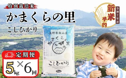 【先行予約】（5月19日より寄附金額改定）【定期便】<令和７年産 新米> 特別栽培米 「かまくらの里コシヒカリ」 精米 5kg×6回(7-4)