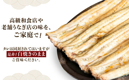 国産うなぎの白焼き 4尾 [TMR004]鰻白焼き