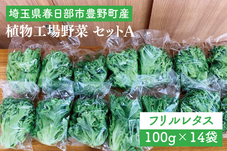 
            埼玉県春日部市豊野町産　植物工場野菜 セットA（AH001-1）
          