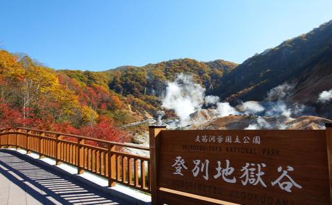 北海道 登別市 ANAトラベラーズダイナミックパッケージ クーポン15，000点分