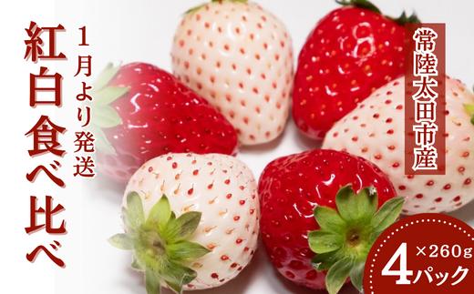 いちご 紅白食べ比べ 4パック×1箱 | 檜山いちご園 香り 大粒 いちご 白いちご いばらキッス ひたち姫 やよいひめ 厳選 フルーツ 苺 イチゴ  新鮮 朝採れ 糖度 酸味 バランス 濃厚 果肉  まろやかな 苺 品質 健康 果物 デザート 贈り物 食べ比べ 人気