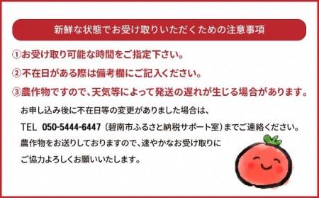 【2026年度予約分】【お試し】幻のミニトマト トマトベリー約800g 長田農園 野菜ソムリエサミット 金賞 受賞 産地直送 トマト とまと 野菜 やさい フルーツ サラダ 濃厚 甘い ご褒美 プレゼ