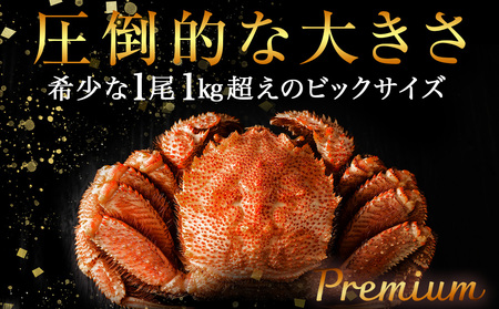 【ふるなび限定】利尻島産 毛ガニ プレミアム（1kg以上） 2尾セット ＜利尻漁業協同組合＞