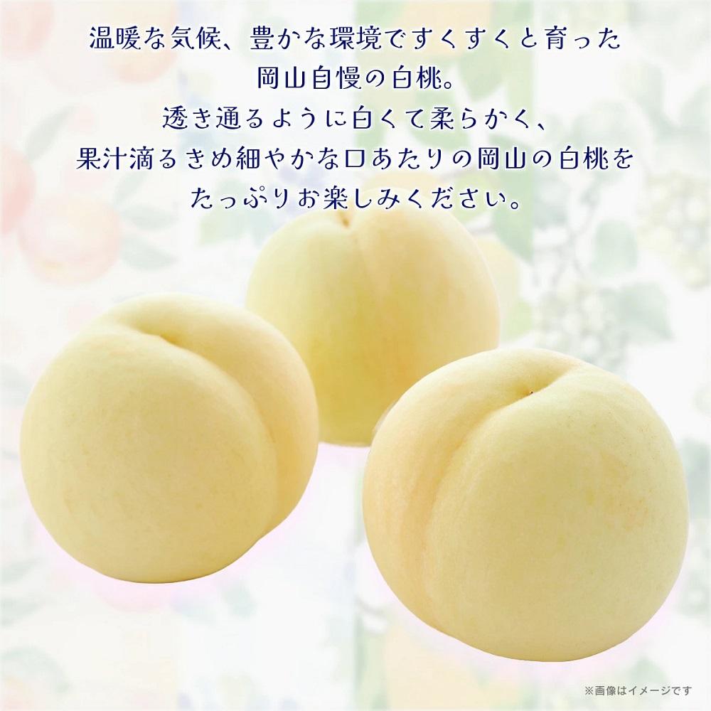 岡山白桃3玉（計約750ｇ）化粧箱入